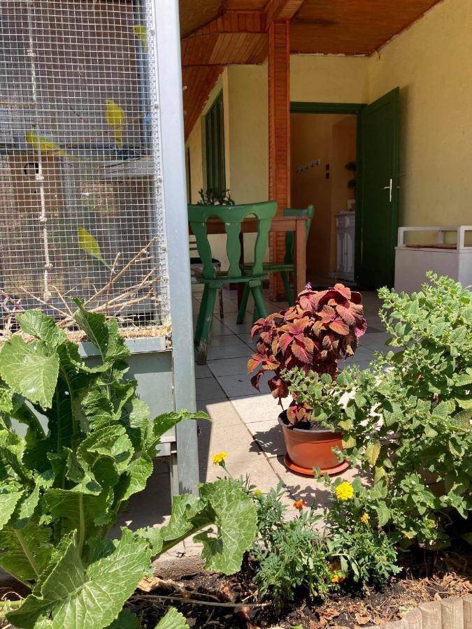 Leander Vendégház Gyongyos Exterior foto